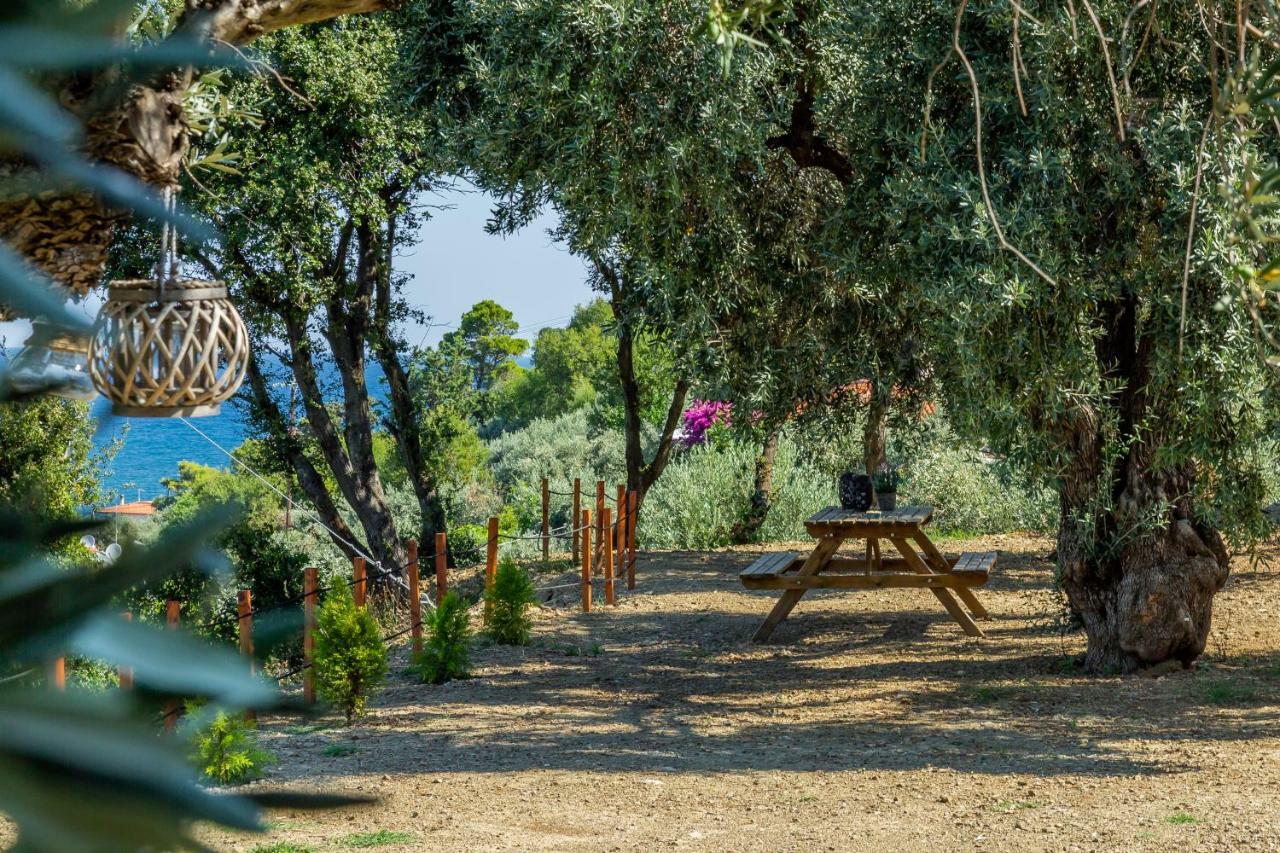 Olive Grove Apartment 스코펠로스 타운 외부 사진